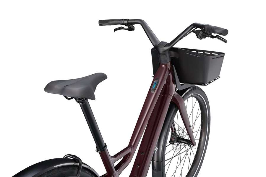 Cast Umber / Transparent