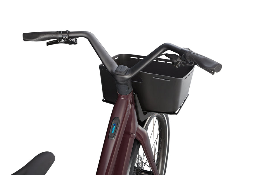 Cast Umber / Transparent