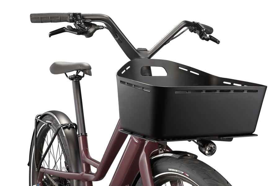 Cast Umber / Transparent