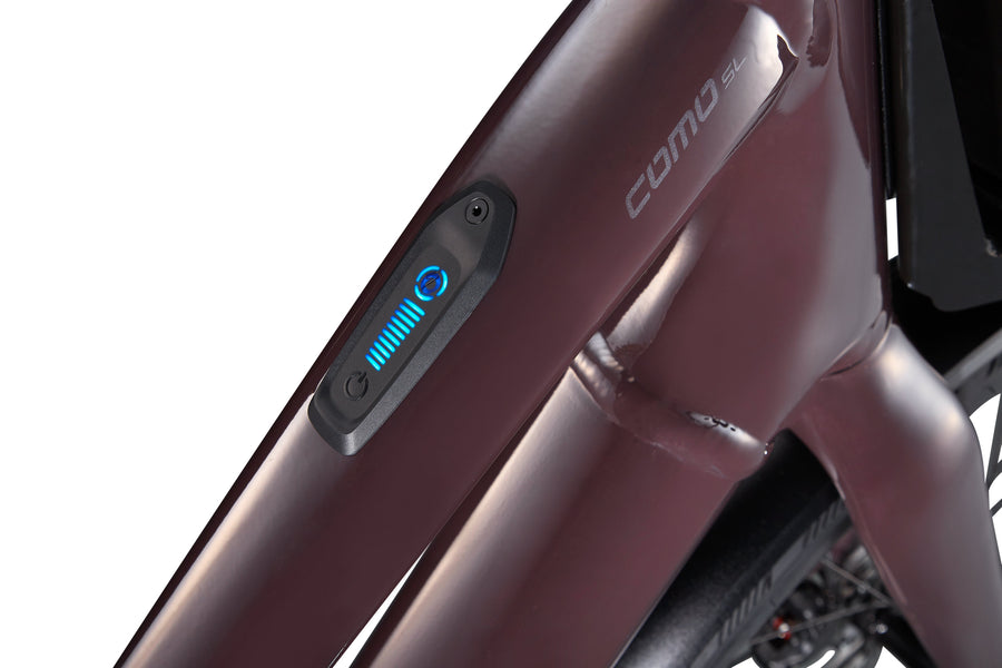 Cast Umber / Transparent